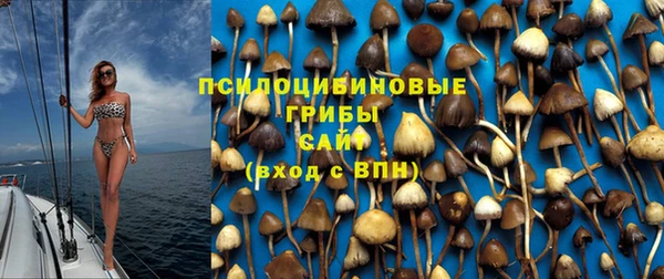 марки nbome Медвежьегорск