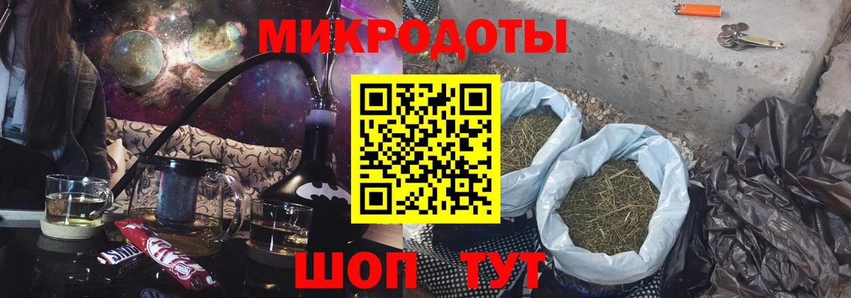 Псилоцибиновые грибы Psilocybe Пенза