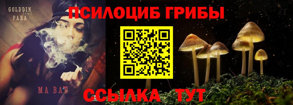 Псилоцибиновые грибы Psilocybine cubensis  цены наркотик  Псилоцибиновые грибы мицелий  Пенза  Вход с VPN 